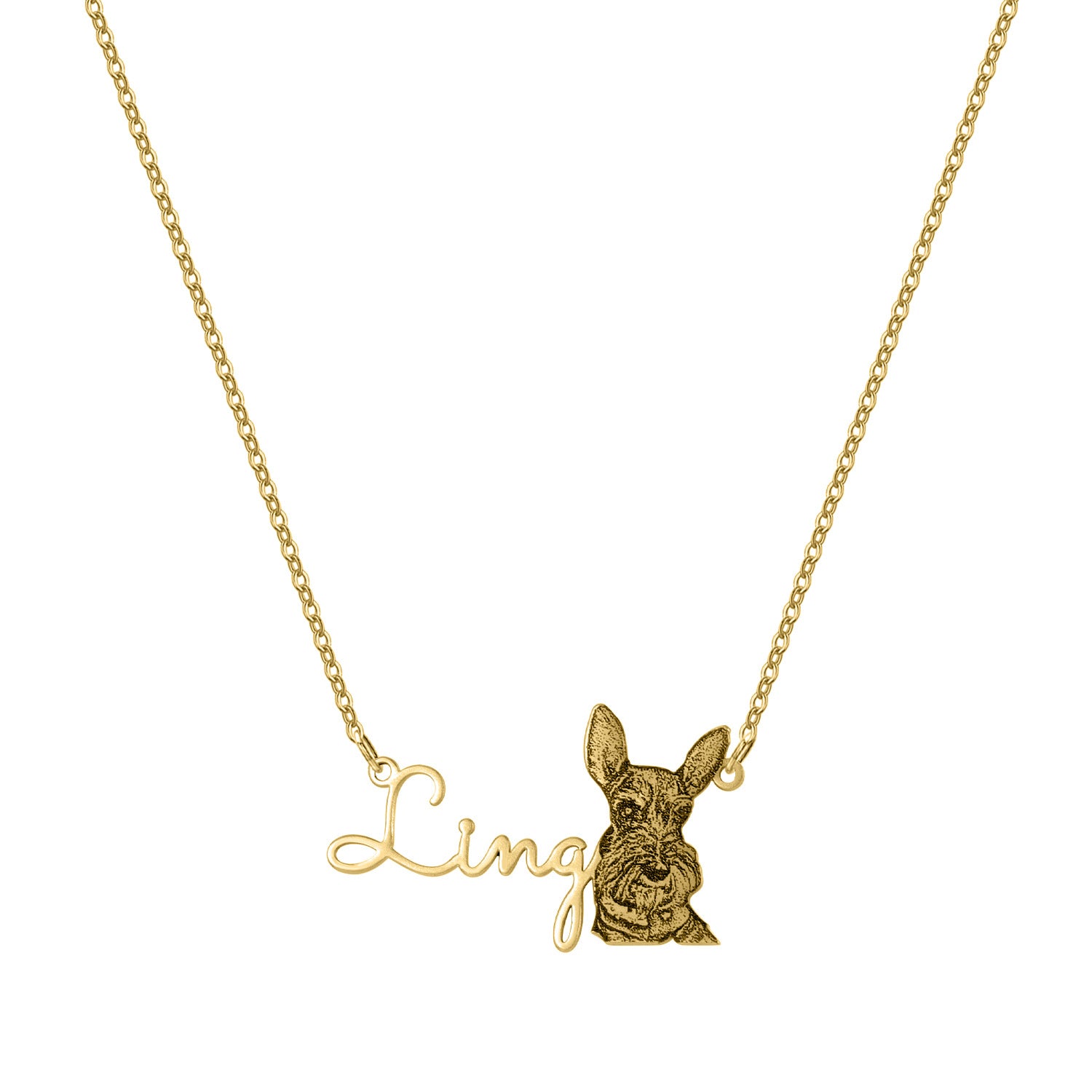 Stainless Steel Custom Cat Silhouette Necklace - Engraved Pet Name Pendant